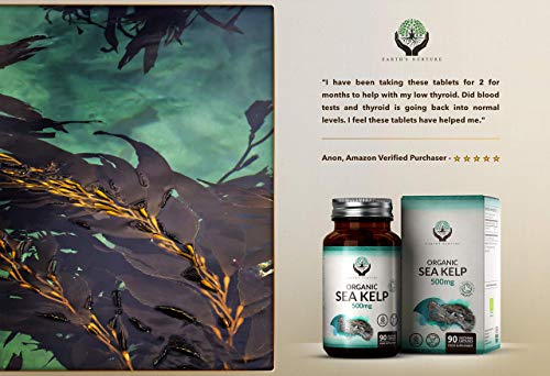 EN Algas Kelp Organico 500mg por Capsula | Suplemento de Yodo Orgánico | Algas Marinas Orgánicas | Certificado por Soil Association | 90 Cápsulas Vegetarianas | Sin Gluten, OGM, Lacteos o Alergenos