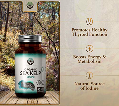EN Algas Kelp Organico 500mg por Capsula | Suplemento de Yodo Orgánico | Algas Marinas Orgánicas | Certificado por Soil Association | 90 Cápsulas Vegetarianas | Sin Gluten, OGM, Lacteos o Alergenos