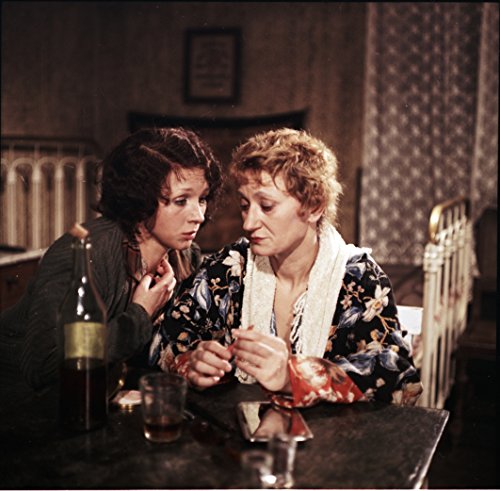 Es geht einer vor die Hunde [Alemania] [DVD]