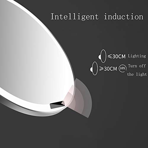 Espejo De Maquillaje con Luz,Espejo Maquillaje con Luz USB,led Espejo De Maquillaje Cuerpo De Esponja Antideslizante Rotación De 360 ° Batería De Litio Incorporada De 4000 Ah