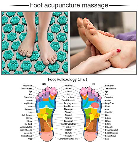 Esterilla Acupresion Kit Lotus Benooa Juego de Almohadillas de Masaje Dolor de Espalda y Cuello Alivio del Sueño para la Relajación Muscular El Dolor Ciático Alivia el Estrés 26.8"x16.1" (Blau)