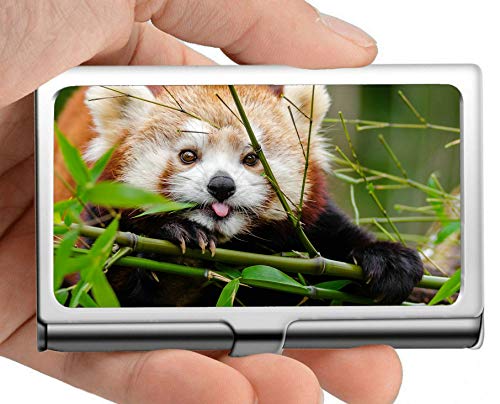 Estuche para tarjetas de visita, caja de tarjeta de visita con soporte de tarjeta de visita Wildlife Panda (acero inoxidable)