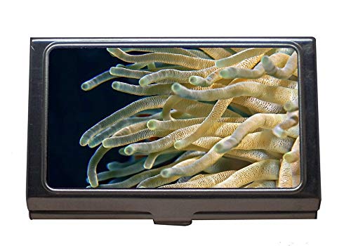 Estuche profesional para tarjetas de visita, corales profundos de cerca, tarjetero de acero inoxidable