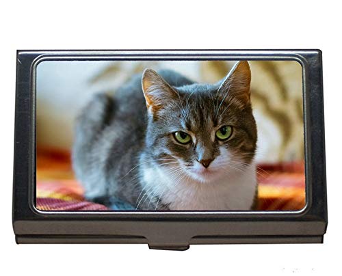 Estuche profesional para tarjetas de visita, portatarjetas de acero inoxidable Cat