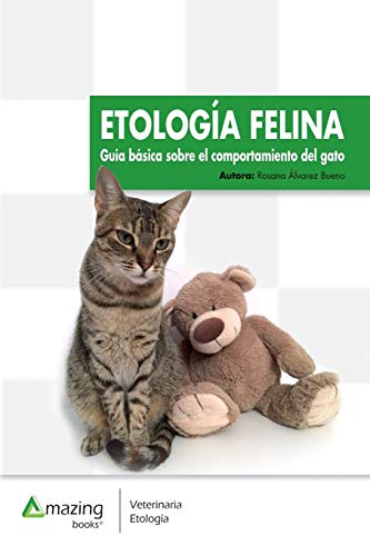 Etología felina: Guía básica del comportamiento del gato