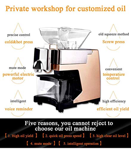 Extracción de prensa de aceite de cocina - Extractor de prensa de aceite comercial frío/calor automático eléctrico 550W para cacao de lino de oliva y lino de cacahuete,Gold