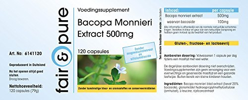 Extracto de Bacopa Monnieri 500 mg - Polvo de Brahmi en Cápsulas - 20% de Bacósidos - Vegano - Alta pureza - 120 Cápsulas