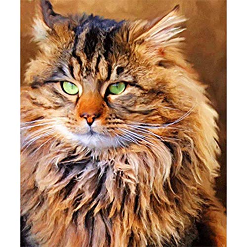 fancjj Puzzle 1000 Piezas-Animal Cat Juego Educativo de descompresión de Juguetes Pase el Tiempo aburrido50x75cm(20x30 Pulgadas)