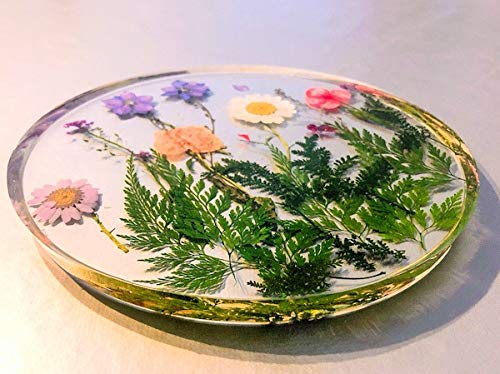 Fantasy Craft 0,3 Kg Fantasy, Resina epoxi Transparente Brillo Perfecto bicomponente de Colada(Varios Pesos Disponibles)