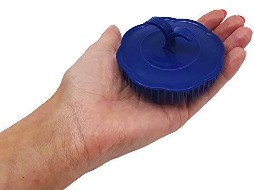 Fast SLS y parabenes Champú y Acondicionador + cuero cabelludo cepillo de masaje