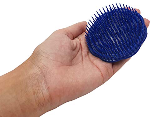 Fast SLS y parabenes Champú y Acondicionador + cuero cabelludo cepillo de masaje