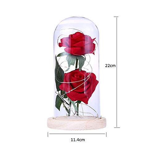Fesjoy Cubierta de Cristal Claro de Flores Two Roses Glass Cover L-Ed String Light Lámpara de Mesa Romántica Decoración de La Boda del Día de San Valentín