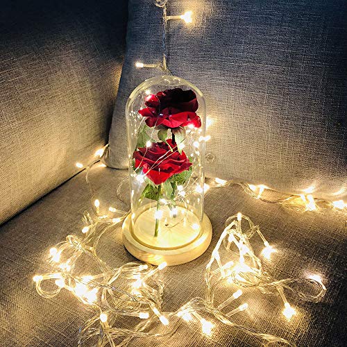 Fesjoy Cubierta de Cristal Claro de Flores Two Roses Glass Cover L-Ed String Light Lámpara de Mesa Romántica Decoración de La Boda del Día de San Valentín