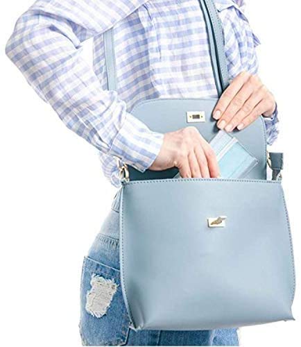 Fiesta Cotigo Estuche para Guardar Mascarillas Portátil,Mini Caja Plegables Transparente para Mascaras de Almacenamiento de Plástico - Paquete de 12 (Estuche de almacenaje)