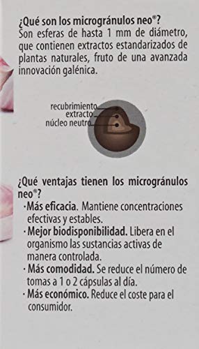 FITOGRANULOS AJO 45 Caps