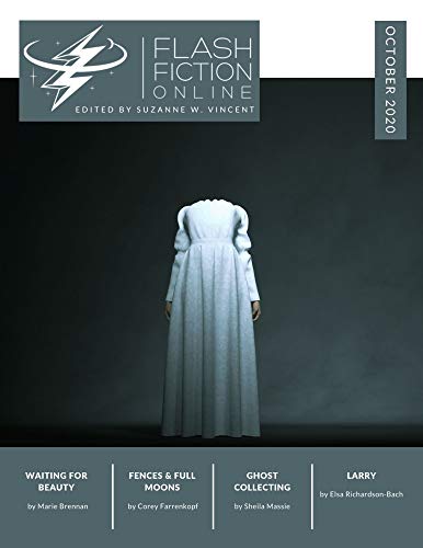 Flash Fiction Online October 2020 (English Edition)