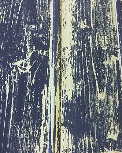 Fleur Paint 12311 - Pintura mineral (base agua, 330 ml) color mr grey