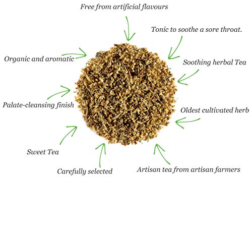 Flor de saúco orgánica infusión - Dulce y jugosa - Flor de saúco o Sambucus tisana - Tisano bio 100g