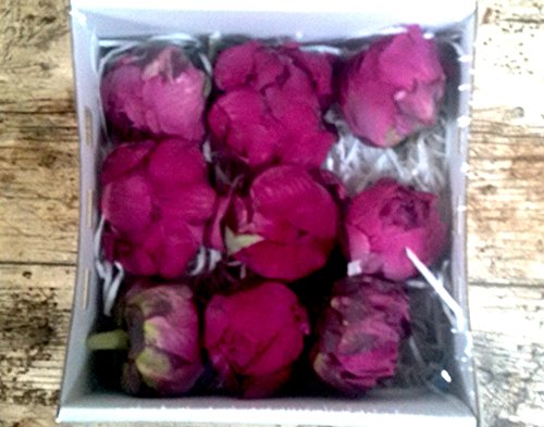 Flores Frescas Online Peonias Preservadas Medianas Bordeaux 9 Unidades Portes Gratis