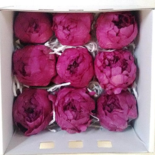 Flores Frescas Online Peonias Preservadas Medianas Purple 9 Unidades Portes Gratis