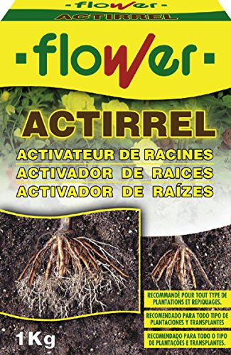 Flower 40555 - actirrel - activador de raices, 1 Kg