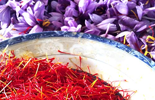 FRISAFRAN - Azafran en hebra / Caja de metacrilato (1Gr)