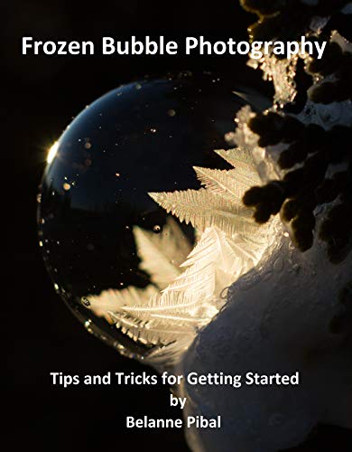 Frozen Bubble Photography: Tips and Tricks for Getting Started (English Edition)