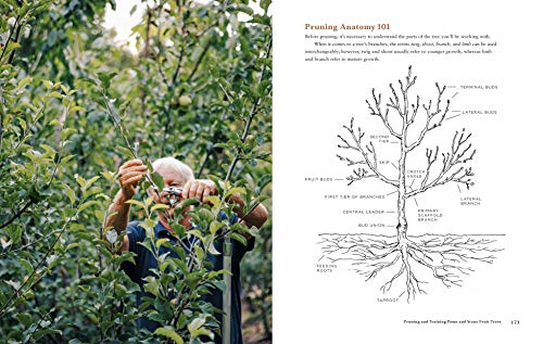 Fruit Trees for Every Garden: An Organic Approach to Growing Fruit from an Expert Gardener