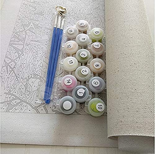 FSKJSZYH Pintura por Número Pintado A Mano Sala De Estar Paisaje Floral Pintura Decorativa Sin Marco Perfume Amapola 40X50 Cm