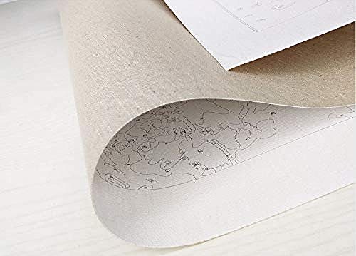 FSKJSZYH Pintura por Número Pintado A Mano Sala De Estar Paisaje Floral Pintura Decorativa Sin Marco Perfume Amapola 40X50 Cm