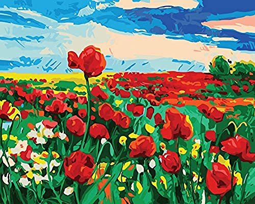 FSKJSZYH Pintura por Número Pintado A Mano Sala De Estar Paisaje Floral Pintura Decorativa Sin Marco Perfume Amapola 40X50 Cm