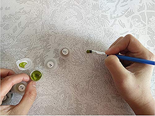 FSKJSZYH Pintura por Número Pintado A Mano Sala De Estar Paisaje Floral Pintura Decorativa Sin Marco Perfume Amapola 40X50 Cm