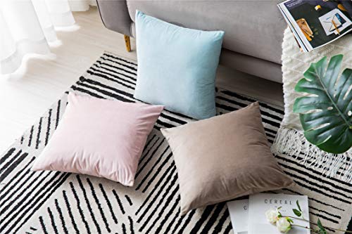 Funda Cojín, Paquete de 2, Fundas de Almohada Decorativas Cuadradas de Terciopelo Blando Sólido, Fundas Cojín Euro para la Granja, Sofá, Niños, Interiores y Exteriores,50 x 50cm,20x20inch,Rosa claro