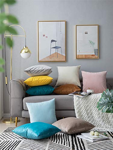 Funda Cojín, Paquete de 2, Fundas de Almohada Decorativas Cuadradas de Terciopelo Blando Sólido, Fundas Cojín Euro para la Granja, Sofá, Niños, Interiores y Exteriores,50 x 50cm,20x20inch,Rosa claro