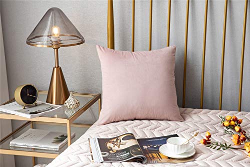 Funda Cojín, Paquete de 2, Fundas de Almohada Decorativas Cuadradas de Terciopelo Blando Sólido, Fundas Cojín Euro para la Granja, Sofá, Niños, Interiores y Exteriores,50 x 50cm,20x20inch,Rosa claro