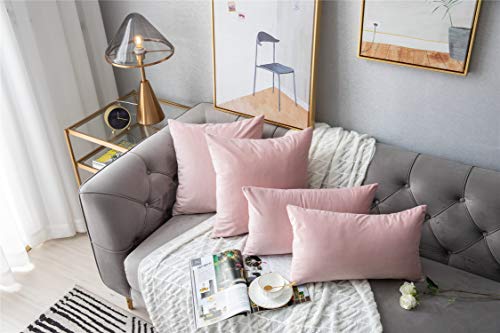Funda Cojín, Paquete de 2, Fundas de Almohada Decorativas Cuadradas de Terciopelo Blando Sólido, Fundas Cojín Euro para la Granja, Sofá, Niños, Interiores y Exteriores,50 x 50cm,20x20inch,Rosa claro