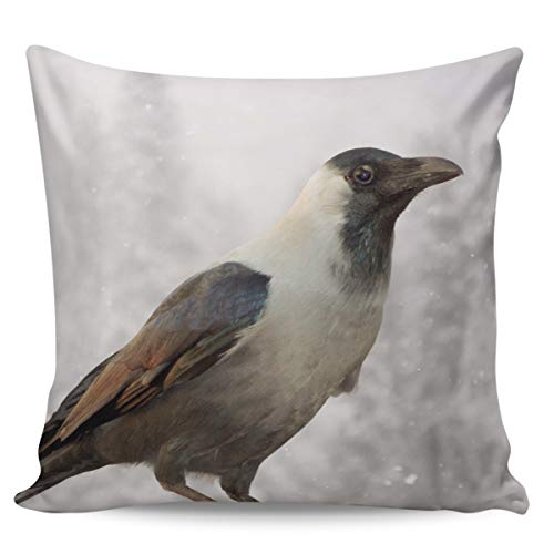 Funda de cojín decorativa para sofá, dormitorio, 60 x 60 cm