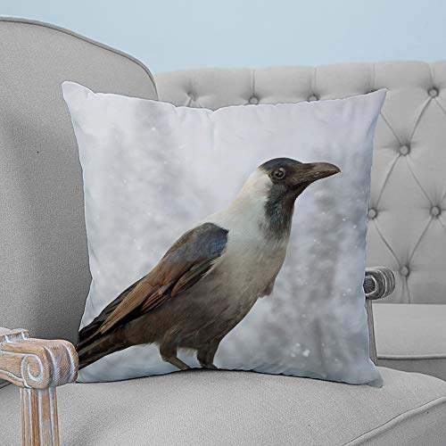 Funda de cojín decorativa para sofá, dormitorio, 60 x 60 cm