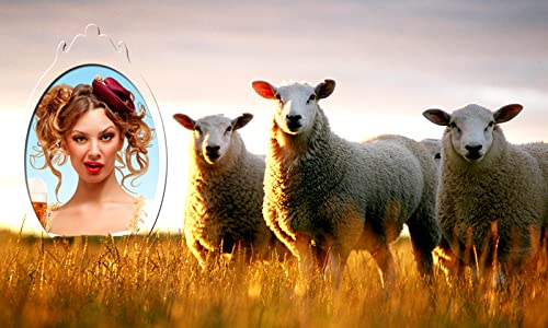 Funny Animals Photo Frames