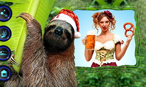 Funny Animals Photo Frames