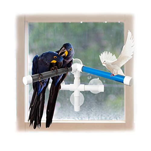FurPaw Perchas Pájaros, Loros Plástico Columpio Plataforma para Ducha Juguestes Pajaros Mascotas Perchas con 4 Ventosas