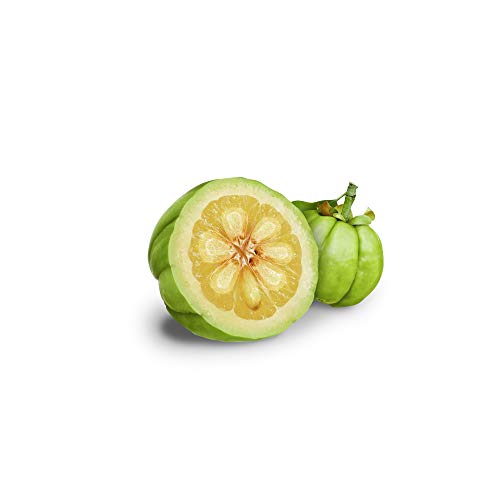 GARCINIA CAMBOGIA * OFERTA 3+1 GRATIS * 400 mg / 360 cápsulas * Cardiovascular, Peso (adelgazamiento, corta-hambre) * Garantía de satisfacción o reembolso * Fabricado en Francia