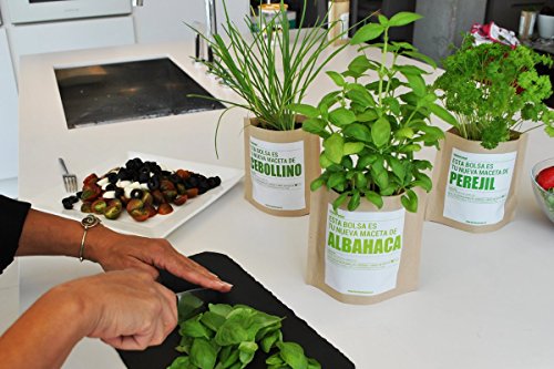 Garden Pocket - Kit de Cultivo de HIERBABUENA - Bolsa Maceta