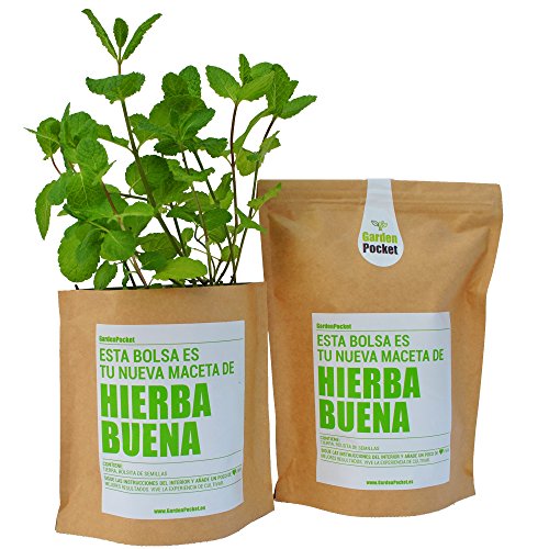 Garden Pocket - Kit de Cultivo de HIERBABUENA - Bolsa Maceta