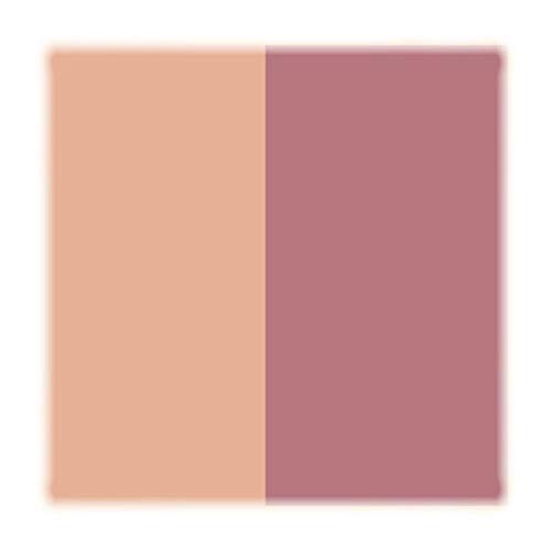 Givenchy - Colorete le prisme blush