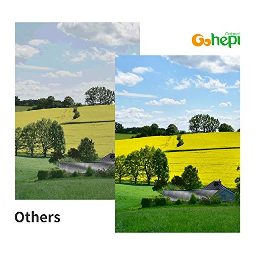 Gohepi 364XL Alta Capacidad Cartuchos de tinta Reemplazo para HP 364 Compatible con HP Deskjet 3070A,HP OfficeJet 4620,HP Photosmart 5510 5520 7510 7520 5514 5515 5522 5524 4622 6510 B110A B8550