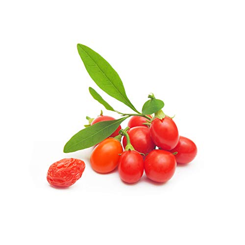 GOJI (Lycium barbarum) * Extracto concentrado * 100 % natural * Titulado al 50 % en polisacáridos * 375 mg / 120 cápsulas vegetales * Juventud y energía vital * Calidad controlada por certificado de análisis * Garantía de satisfacción o reembolso