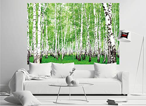 GREAT ART XXL Póster – Bosque De Abedules – Foto del Bosque Y De La Naturaleza Decoración De La Pared del Paisaje Sendero del Bosque Flora Y Fauna Mural Deco Motivo De Limpieza (140 X 100 Cm)