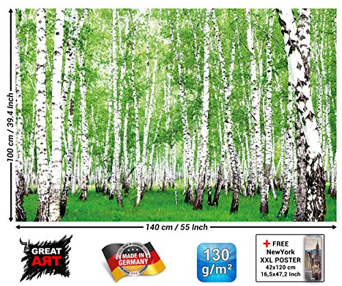 GREAT ART XXL Póster – Bosque De Abedules – Foto del Bosque Y De La Naturaleza Decoración De La Pared del Paisaje Sendero del Bosque Flora Y Fauna Mural Deco Motivo De Limpieza (140 X 100 Cm)