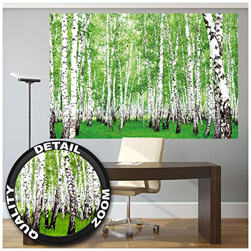 GREAT ART XXL Póster – Bosque De Abedules – Foto del Bosque Y De La Naturaleza Decoración De La Pared del Paisaje Sendero del Bosque Flora Y Fauna Mural Deco Motivo De Limpieza (140 X 100 Cm)